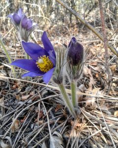 ЭТНОТУР "УМЫРЗАЯ