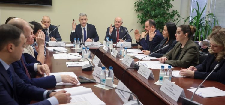 Госдума призвала ускорить процесс цифровизации языков народов России